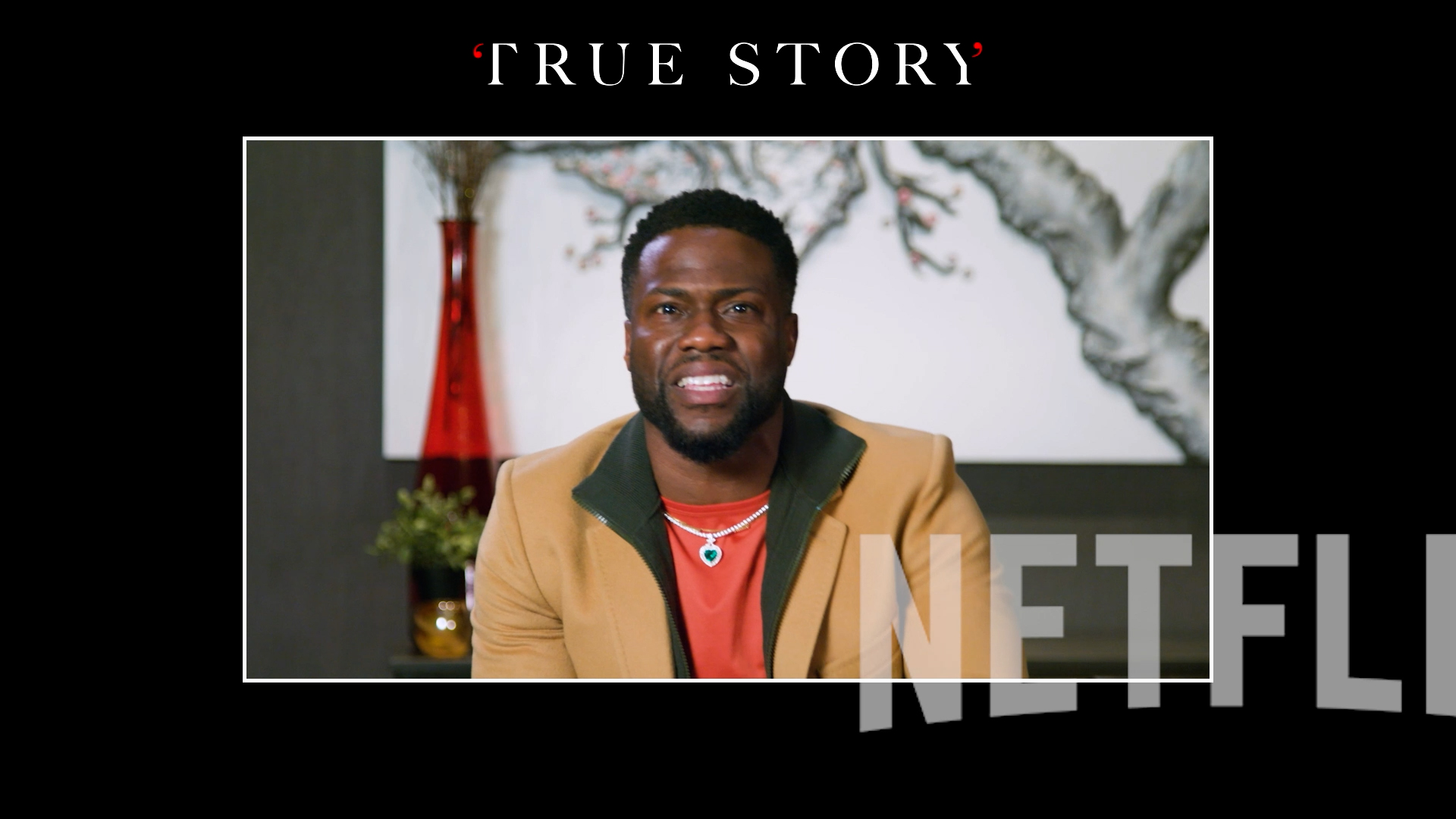 Netflix-Panel-Series